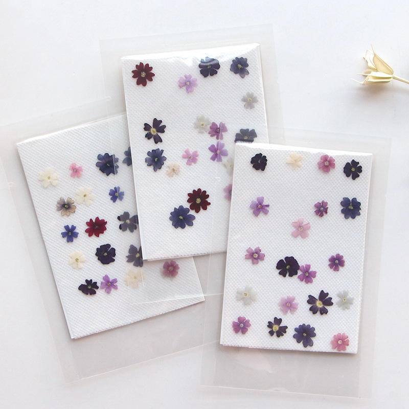 Pressed Flower Frame - 40pcs/lot,Mini Beauty Cherry pressed flower petals,Genuine