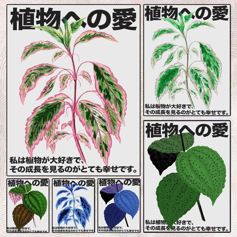 Home Decor Japandi Style - Japandi style Love for plants Collective