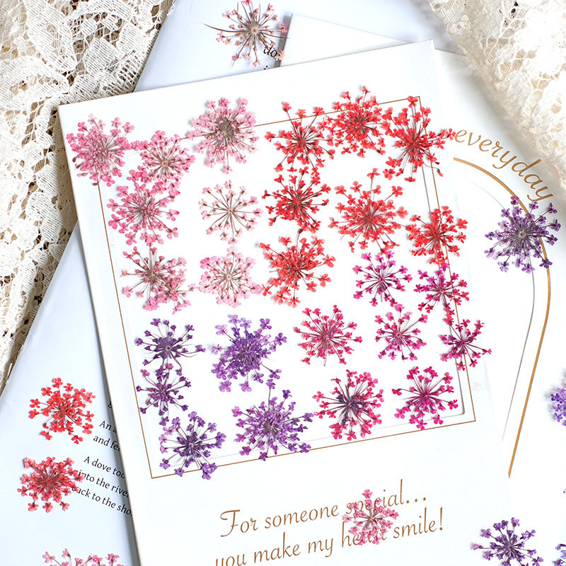 Pressed Flower Frame - 24pcs, 2-2.5cm, Nature Dyed Mini Lace