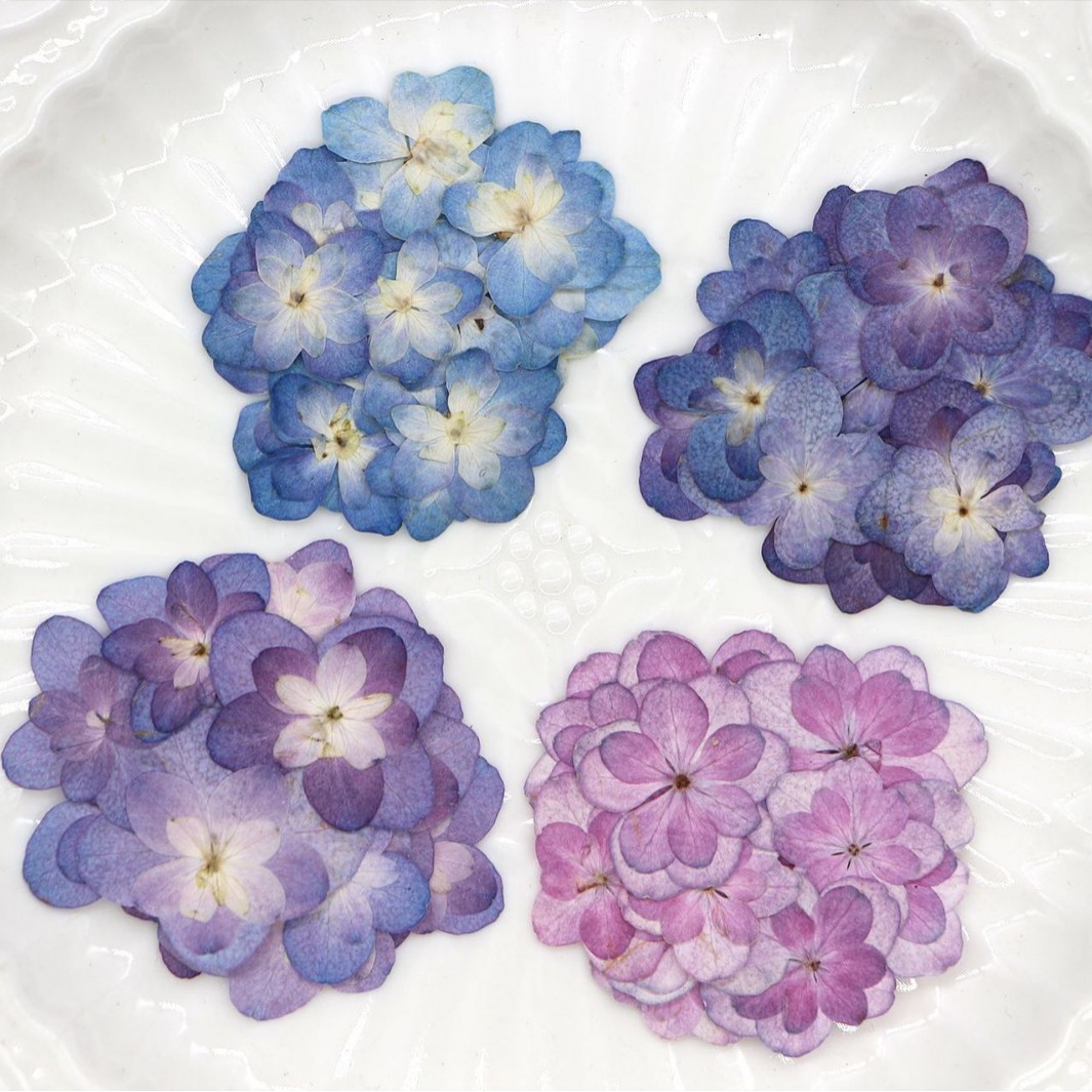 Pressed Flower Frame - 60Pcs Mini Double-Flowered Hydrangea Dried Flowers