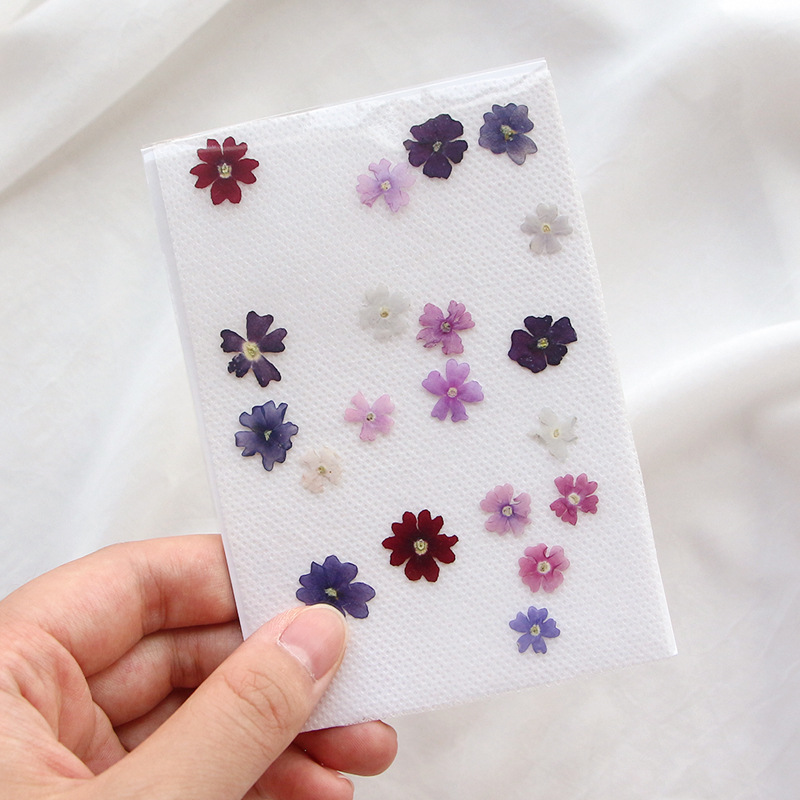 40pcs/lot,Mini Beauty Cherry p - Pressed Flower Frame ulasan dan harga