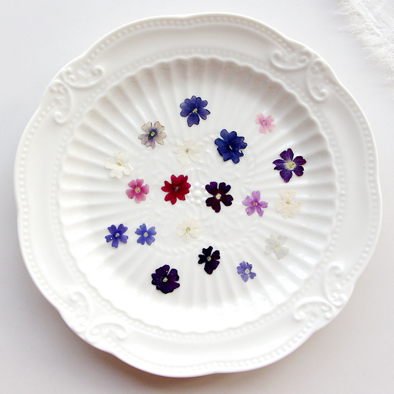 40pcs/lot,Mini Beauty Cherry p - Pressed Flower Frame ulasan dan harga