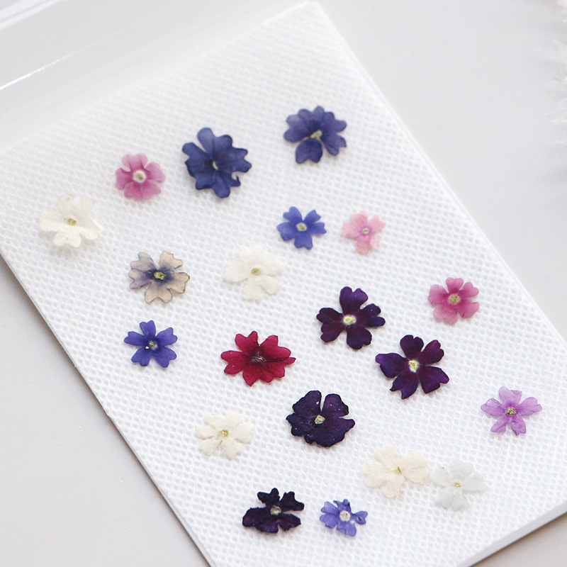 40pcs/lot,Mini Beauty Cherry p - Pressed Flower Frame ulasan dan harga