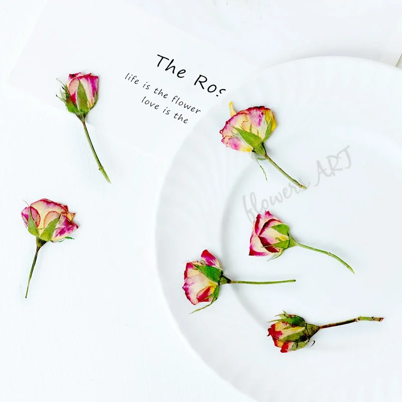 Pressed Rose Bud Flower Petals - Pressed Flower Frame ulasan dan harga