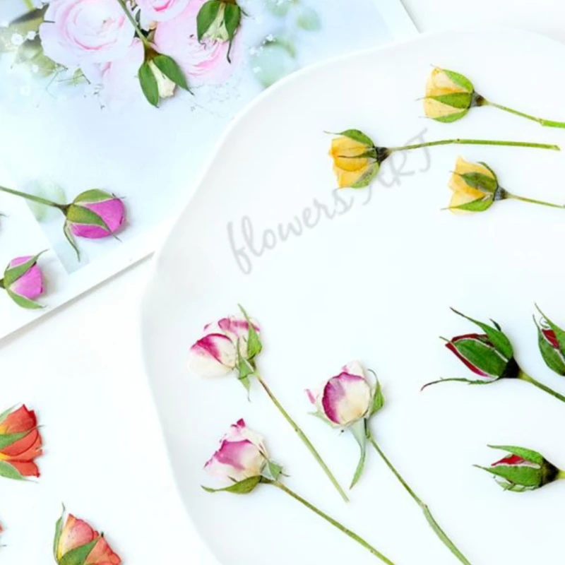 Pressed Rose Bud Flower Petals - Pressed Flower Frame ulasan dan harga