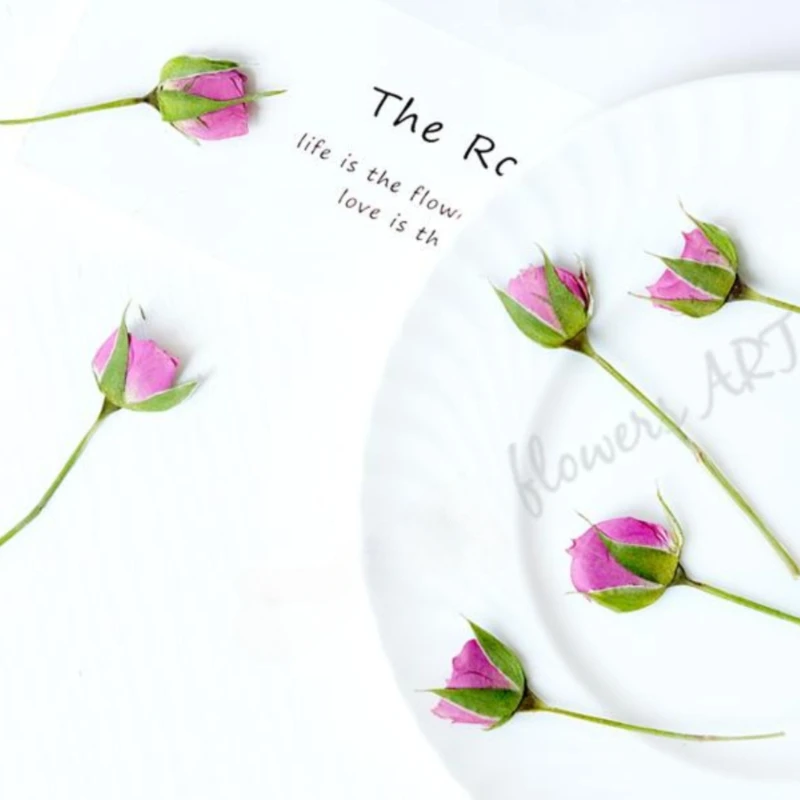 Pressed Rose Bud Flower Petals - Pressed Flower Frame ulasan dan harga