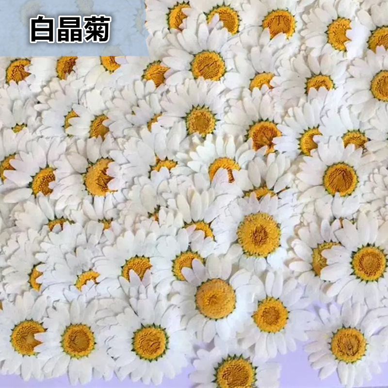 100Pcs Natural White Crystal C - Pressed Flower Frame ulasan dan harga