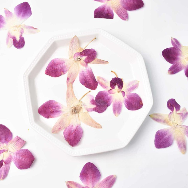4pcs,Real Pressed Butterfly Or - Pressed Flower Frame ulasan dan harga