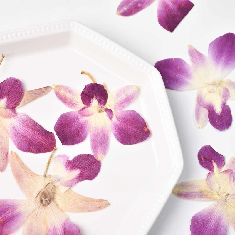 4pcs,Real Pressed Butterfly Or - Pressed Flower Frame ulasan dan harga