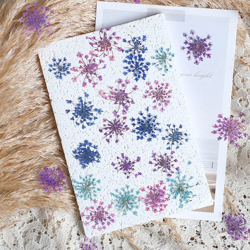 24pcs, 2-2.5cm, Nature Dyed Mi - Pressed Flower Frame ulasan dan harga