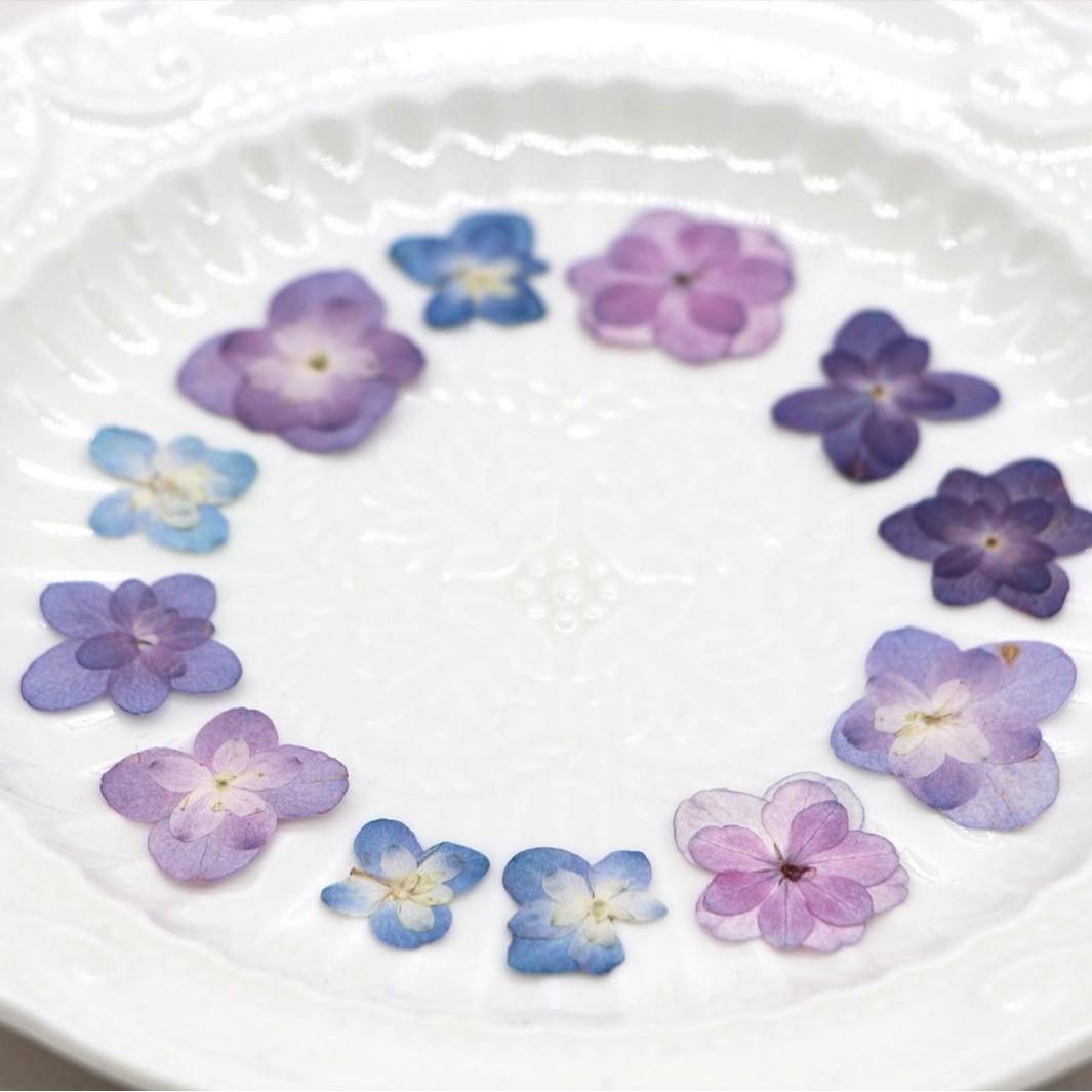 60Pcs Mini Double-Flowered Hyd - Pressed Flower Frame ulasan dan harga