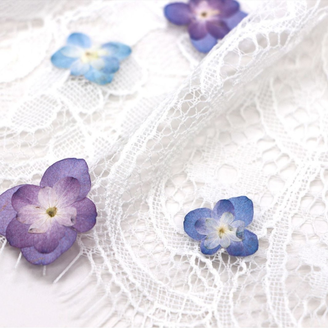 60Pcs Mini Double-Flowered Hyd - Pressed Flower Frame ulasan dan harga